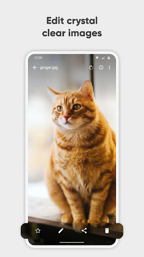 Simple Gallery Pro