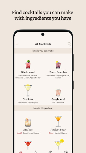 Cocktail Party: Drink Recipes