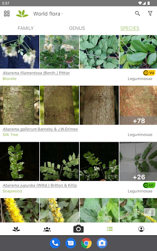 PlantNet Plant Identification