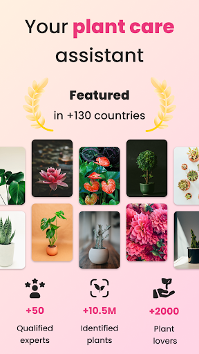 PlantIn Plant Identifier, Care