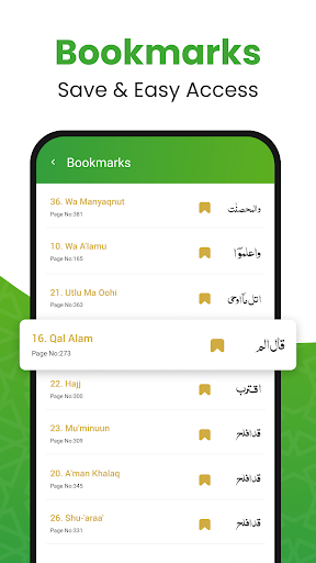 Al QURAN - القرآن الكريم