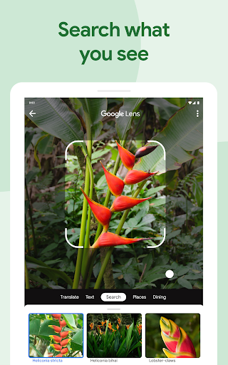 Google Photos