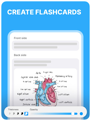 Noji – Flashcards study app