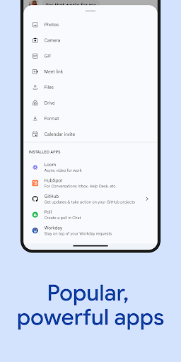 Google Chat