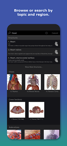 Human Anatomy Atlas 2026