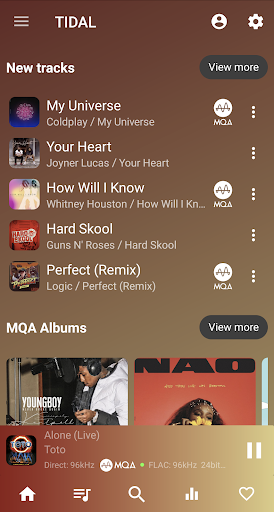 USB Audio Player PRO