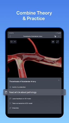 VOKA 3D Anatomy and Physiology