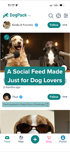 DogPack: Dog Friendly Spots