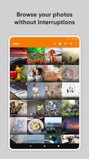 Simple Gallery Pro