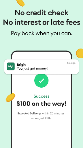 Brigit: Cash Advance & Credit