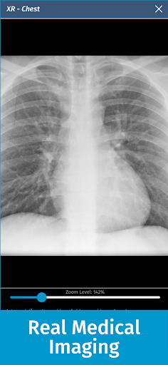 Full Code Medical Simulation