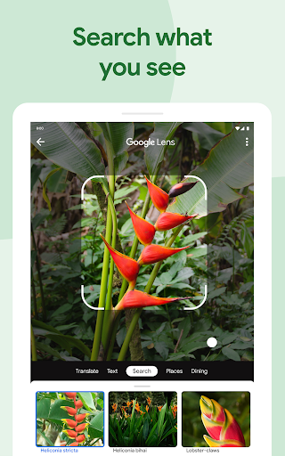 Google Photos