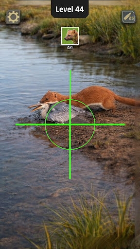 Animal Hunter: Wild Shooting