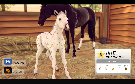 Rival Stars Horse Racing