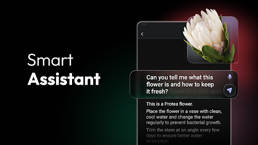 ChatOn - AI Chat Bot Assistant