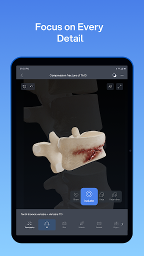 VOKA 3D Anatomy and Physiology