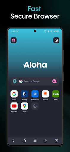 Aloha Browser - Private VPN