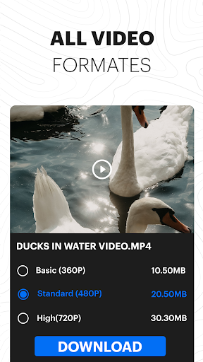Video Downloader & Launcher
