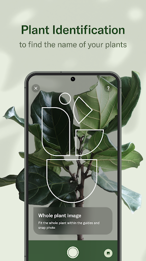 Planta: AI Plant & Garden Care