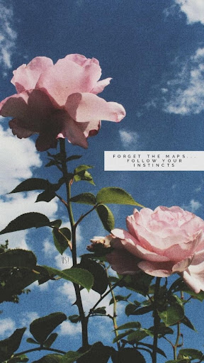 aesthetic background