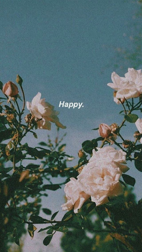 aesthetic background