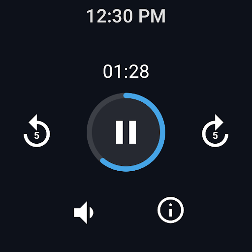Easy Voice Recorder Pro