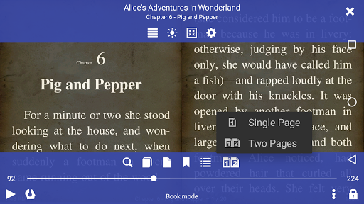 EPUB Reader for all books