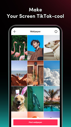 TickTock-TikTok Live Wallpaper