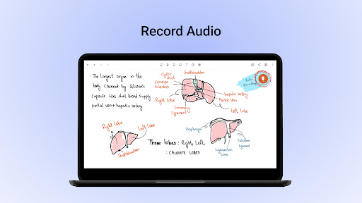 Noteshelf - Notes, Annotations