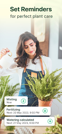 Plant Parent: Plant Care Guide