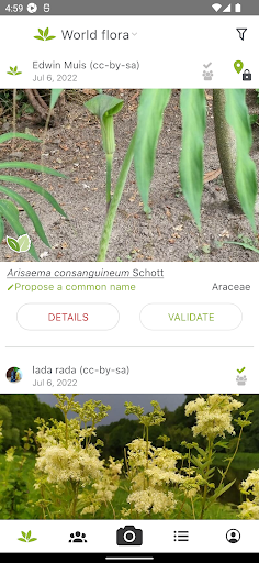 PlantNet Plant Identification
