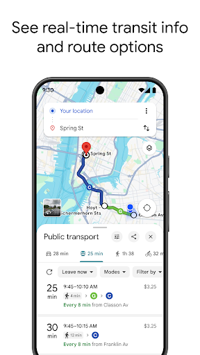 Google Maps