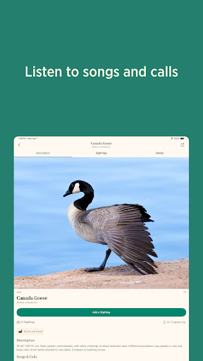 Audubon Bird Guide