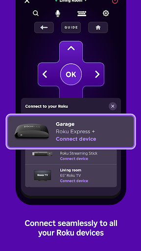 The Roku App (Official)