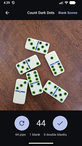 Domino Dot Counter