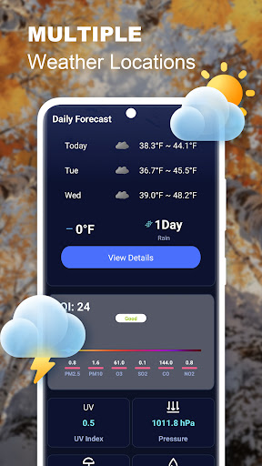 Local Weather Wherever