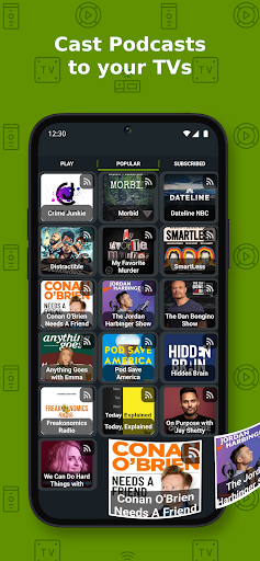 Cast to TV+ Chromecast Roku TV