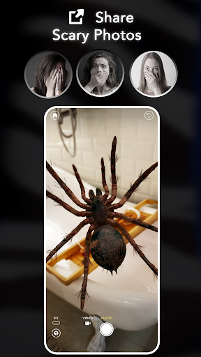 ARSpiders.com: Spider on Face