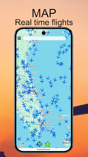 Air Traffic - flight tracker