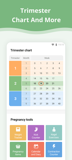 Pregnancy App