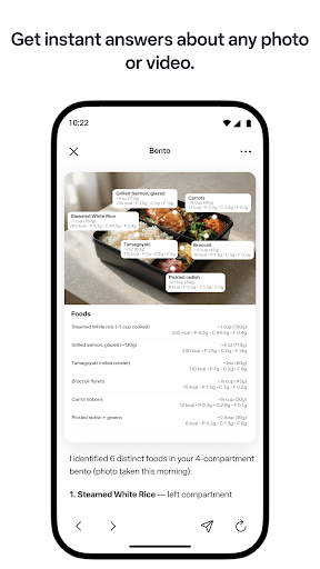 Meta AI - Assistant & Glasses