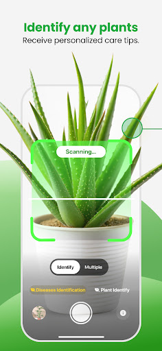 Plant App - Plant Identifier