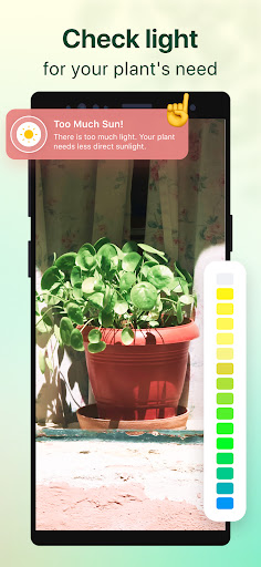 Plant Parent: Plant Care Guide