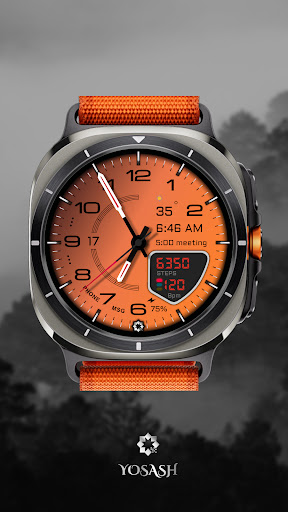 D355 Premium Watch Face