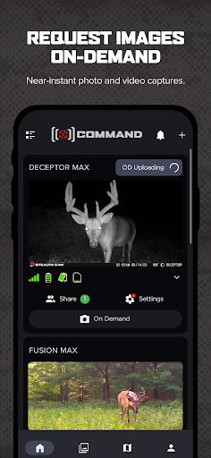 Command