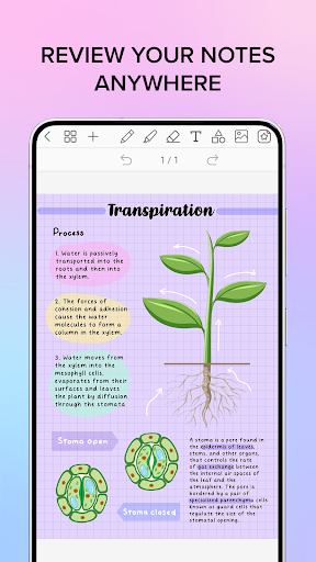 Penly: Digital Planner & Notes