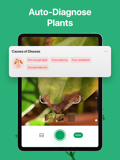 PictureThis - Plant Identifier