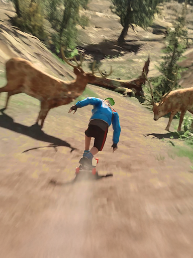 Downhill Racer