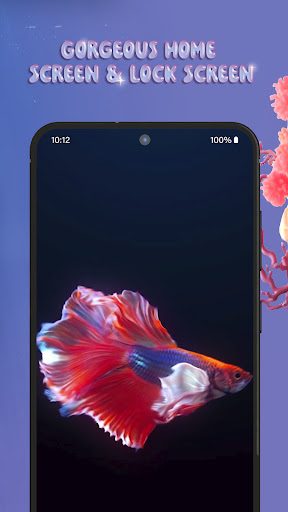 3D Fish Tank Live Wallpaper
