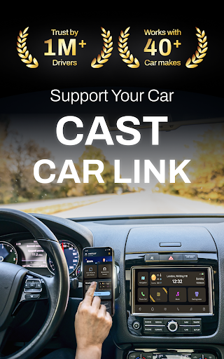 CarLink: MirrorLink & Car Play